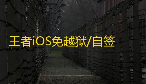 王者iOS免越狱/自签【土豆】辅助